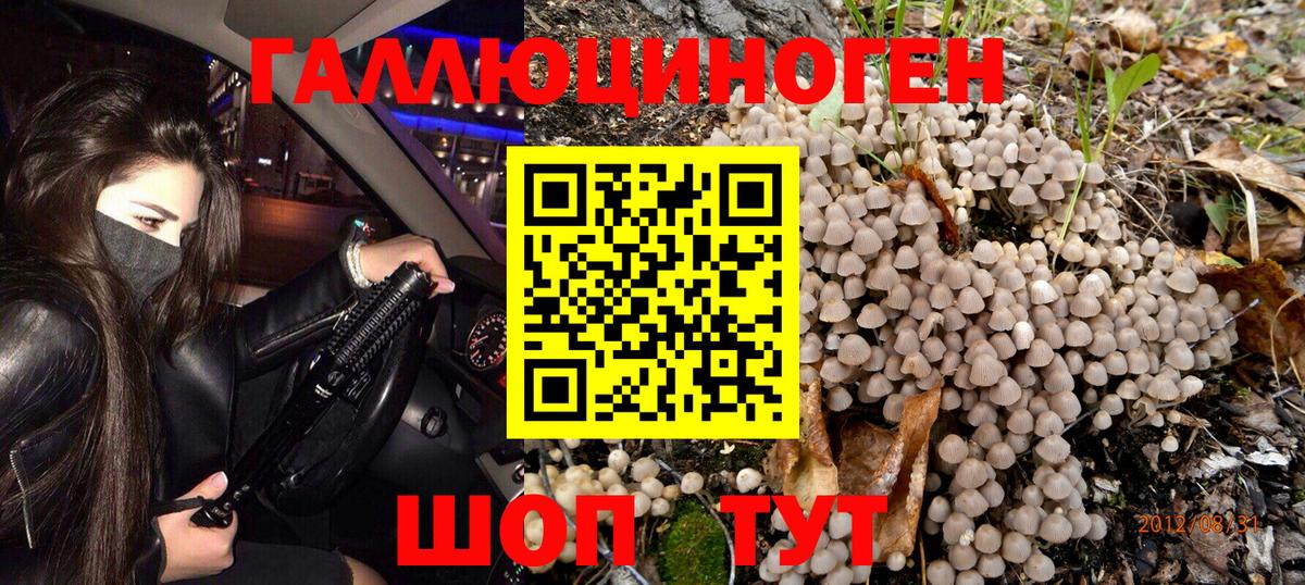 Киселёвск  Псилоцибиновые грибы GOLDEN TEACHER  Галлюциногенные грибы MAGIC MUSHROOMS  Вход с VPN 